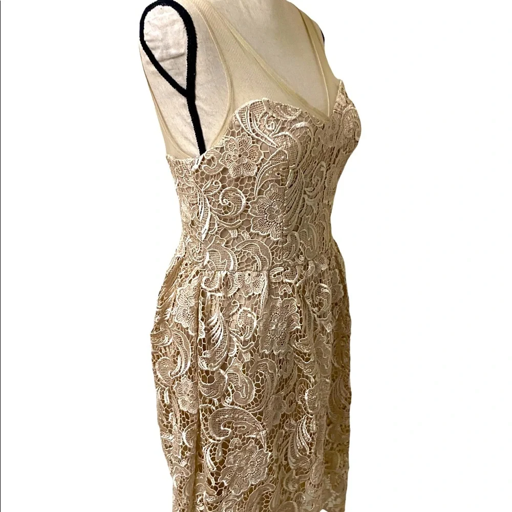 ADRIANNA PAPELL Lace Illusion Midi Size 4 - Picture 5 of 15